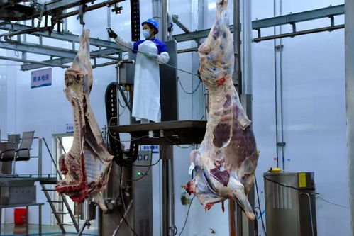 云南瑞麗市復產復工加速 鵬和農業食品加工廠恢復生產