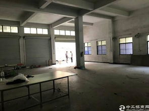 大朗鎮新出獨棟可做毛織行業廠房便宜出租