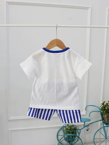 毛織專區(qū) 穿越時(shí)光的溫暖藝術(shù)與時(shí)尚融合